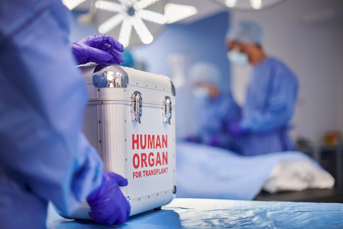 Medical team preparing for surgery with a transport case labeled “Human Organ for Transplant” in an operating room.